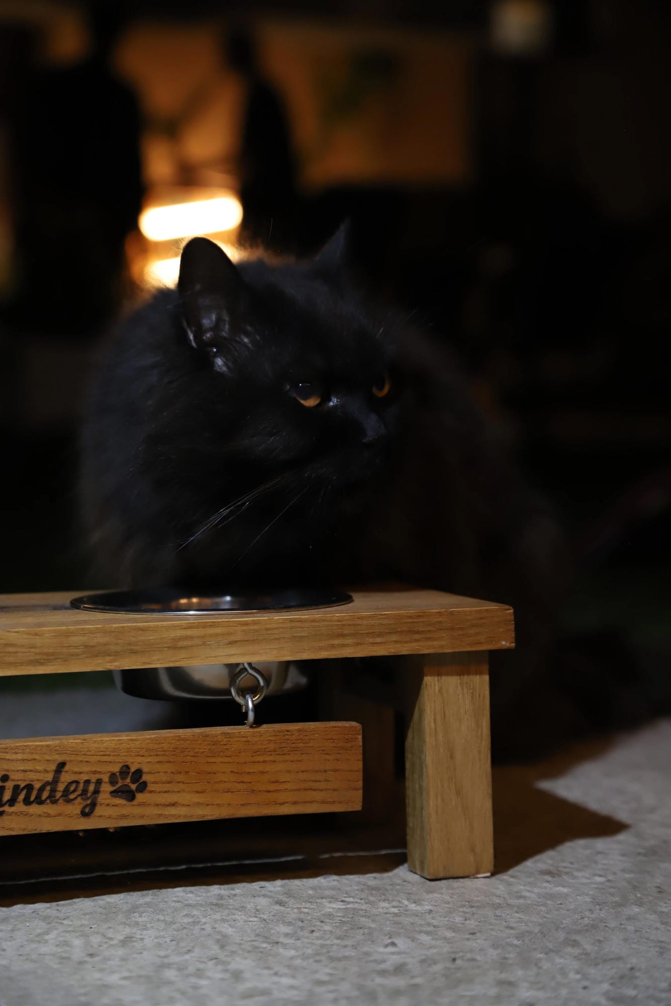 Customizable pet feeder