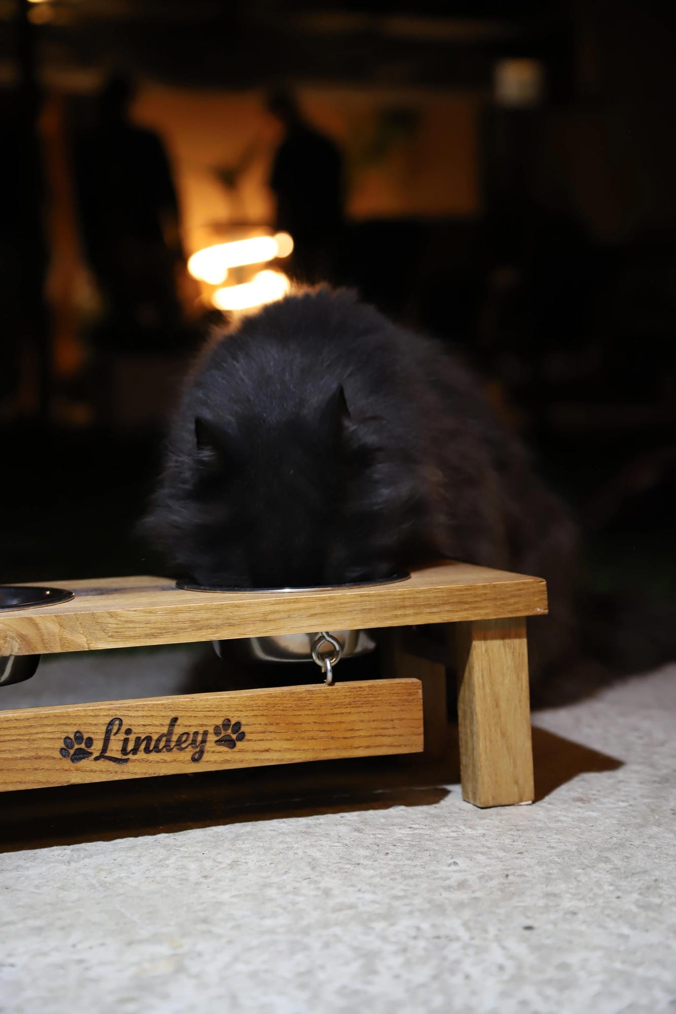 Customizable pet feeder
